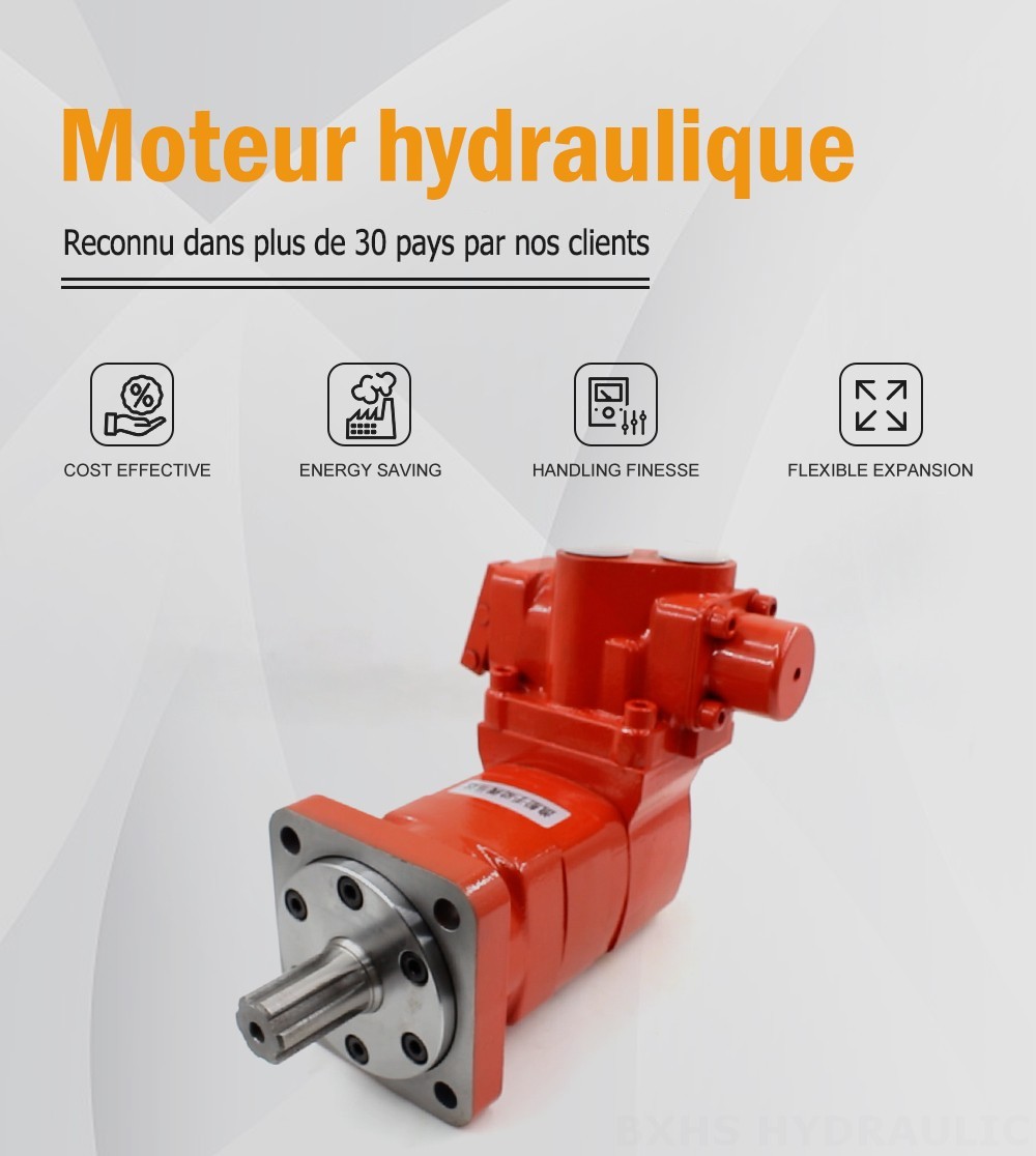 Moteur hydraulique à distributeur directionnel manuel BM5 160 cm³/tr 75 L/min Moteur hydraulique